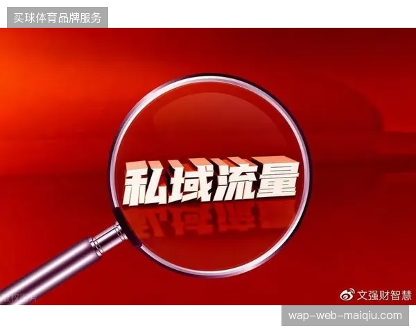 版权拥有者通过精细化动线管理清退黄牛与违规私域，赛事入场体验正在回归核心价值地位